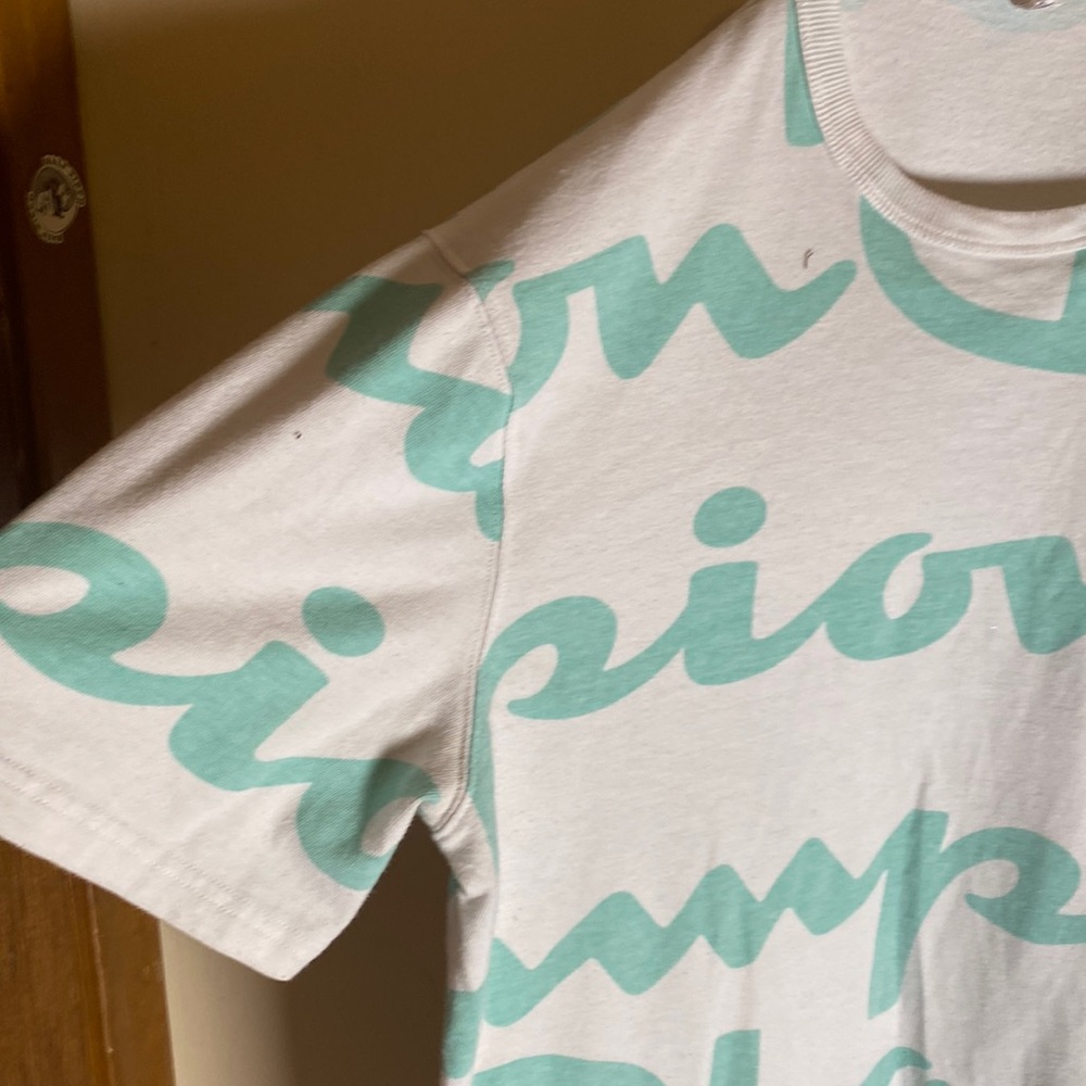 Teal and blue champion shirt, size large